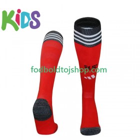 Benfica Børn Hjemme Strømper 2025-26